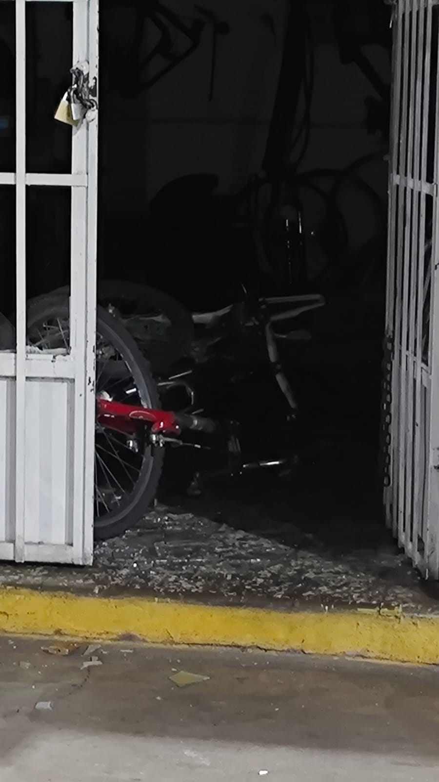 Robo en bicicletería de Rawson: sustraen dos rodados 29 de alto valor e investigan a jóvenes de la zona