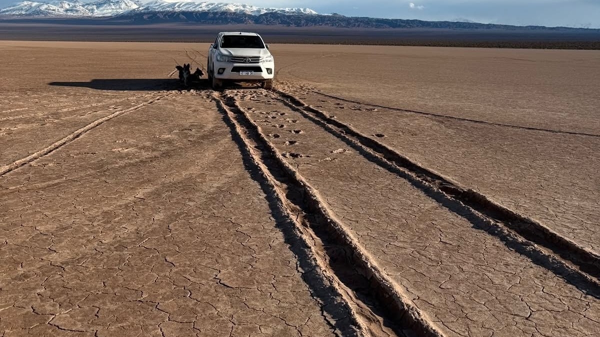 Flor de surco en la Pampa: el 4x4 sigue enterrado y las fotos lo delatan