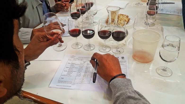 San Juan lanza en La Rural la nueva edición del Concurso Nacional de Vinos Cata San Juan