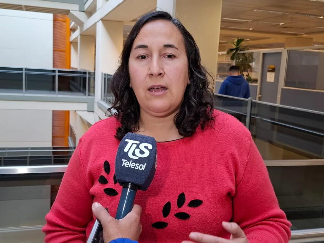 Cuáles son los virus respiratorios que más circulan en San Juan y qué recomiendan desde Salud
