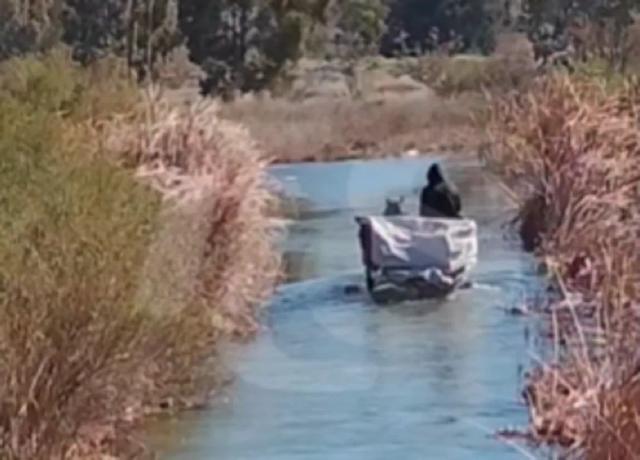 Crece la preocupación por un presunto caso de maltrato animal en Chimbas