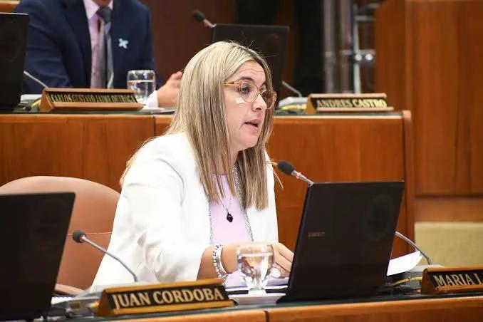 La Cámara define si el convenio con Vicuña se trata este jueves