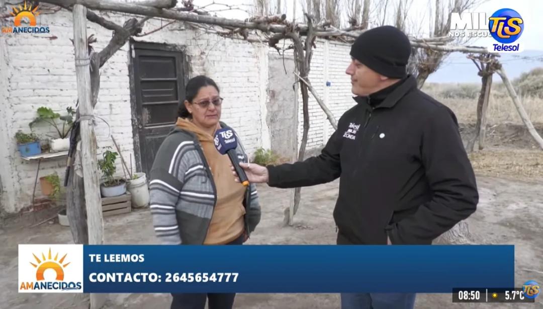 Necesita cerrar el lugar donde viven 29 perros rescatados y lanzó un pedido desesperado