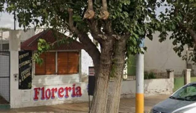 Robo en una florería de Rawson: se llevaron dinero, electrodomésticos y una heladera exhibidora
