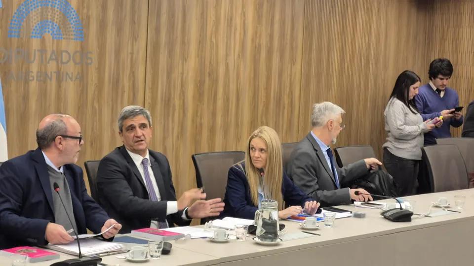 La “Ley Joaquín” avanza en Diputados y pone el foco en la seguridad de espacios deportivos