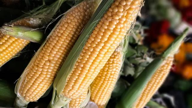 Feria y Mercado de Abasto: conocé los precios de esta semana
