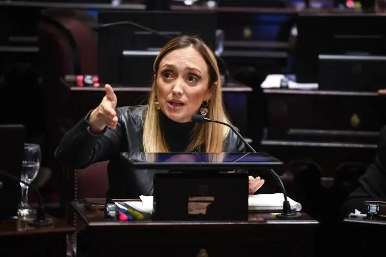 Fernández Sagasti pidió que las senadoras embarazadas puedan votar a distancia