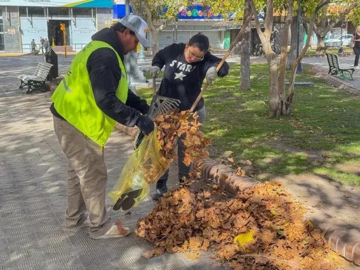 Capital definió tareas de limpieza en plazas y espacios verdes