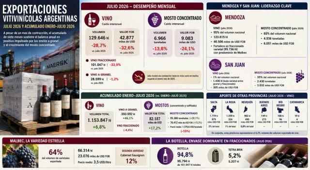 Exportaciones vitivinícolas argentinas: contraste entre la caída mensual de julio y un balance anual que resiste en positivo