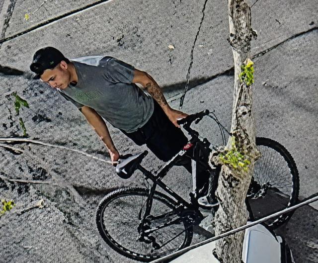 Robaron la batería de un auto en barrio Rivadavia Norte