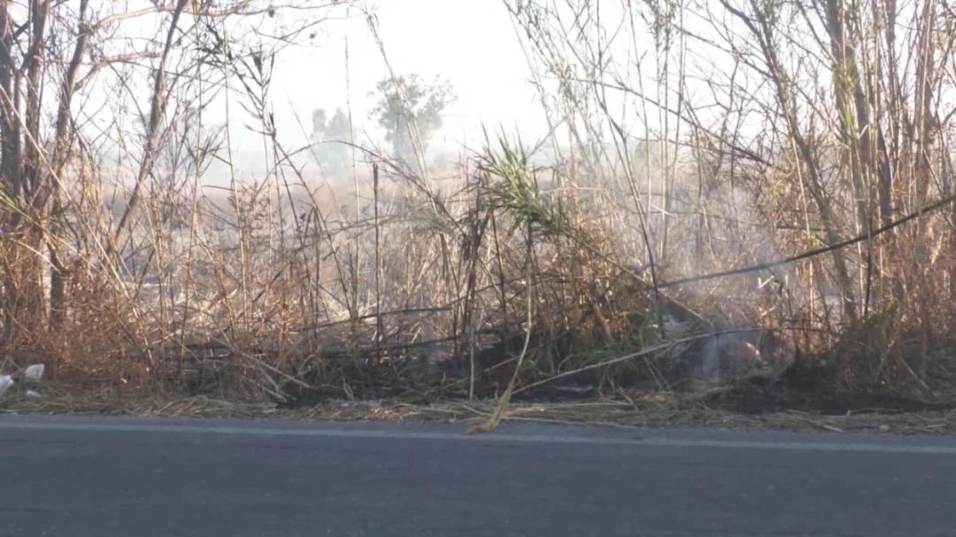 Incendios en Médano de Oro: Protección Civil advierte por el uso descontrolado del fuego