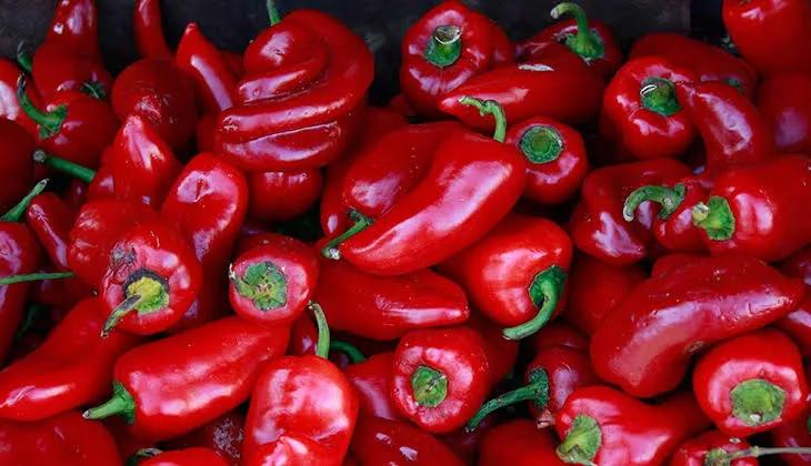 Les frenaron los pimientos en la ruta: iban sin el tratamiento obligatorio y terminaron decomisados