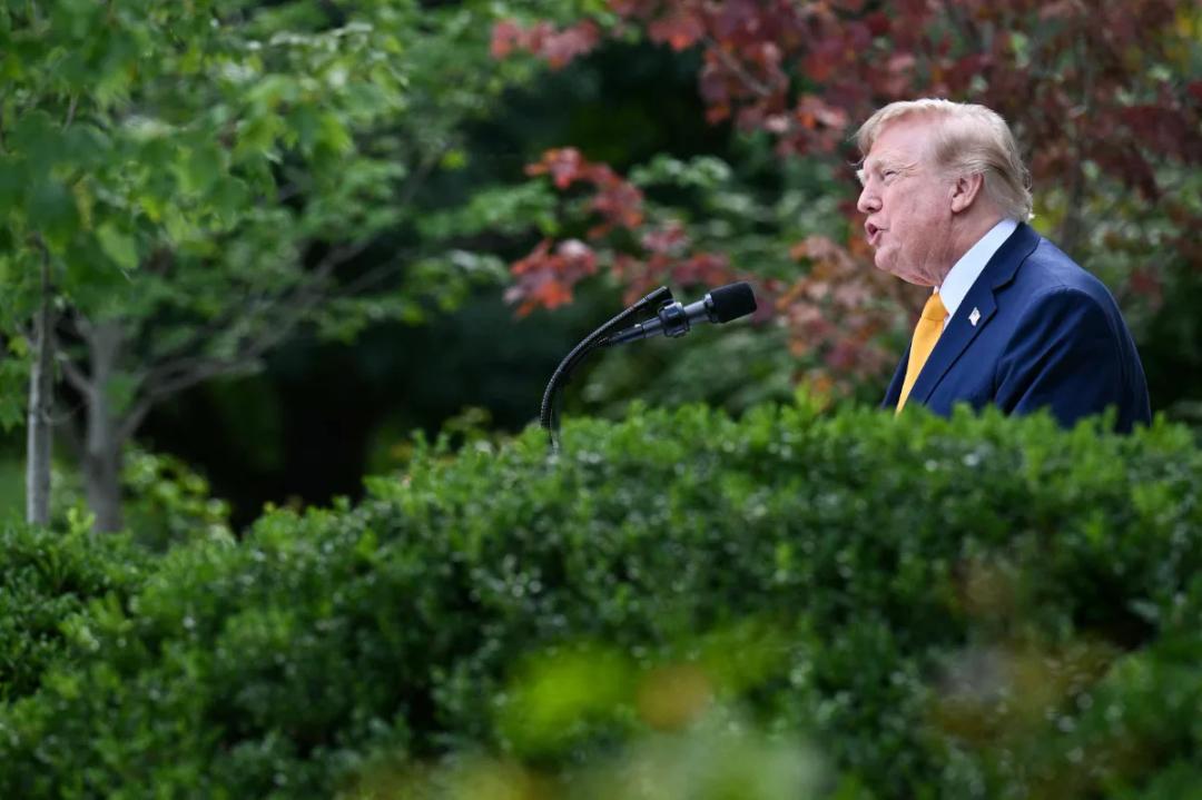 Estados Unidos habilitó 300.000 toneladas y Argentina quedó excluida