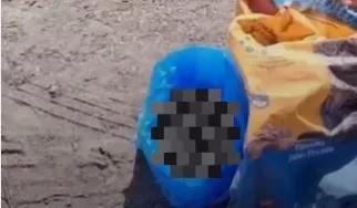 Hallaron restos de un perro frente a la vivienda de Marta en Médano de Oro