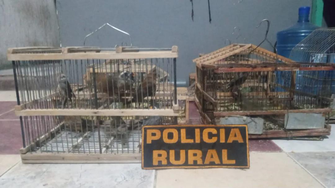 Secuestraron 11 aves autóctonas y dos armas en 25 de Mayo