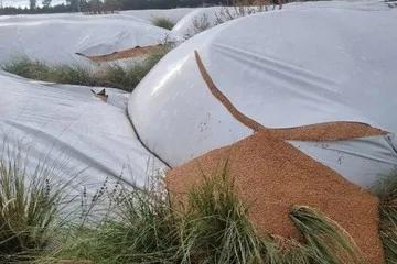 Diputados tratará penas para vandalismo rural y daños productivos