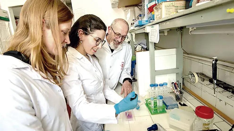 Piden extender las becas posdoctorales del Conicet para que no queden en el aire cientos de investigadores