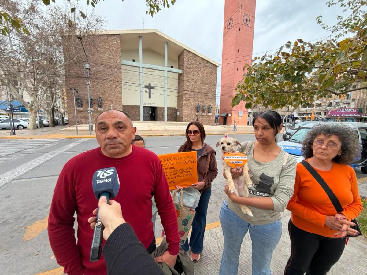 Piden endurecer las penas por maltrato animal y mayor reconocimiento ante la Justicia
