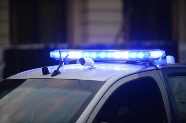 Identificaron al sospechoso que robó tres relojes en una joyería de Patio Alvear