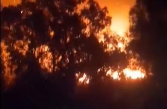 Un incendio en la costanera obliga a cortar la circulación en Chimbas