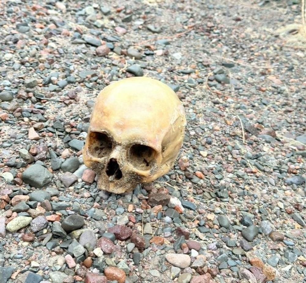 La Justicia analiza el origen de un cráneo humano encontrado en Punta Negra