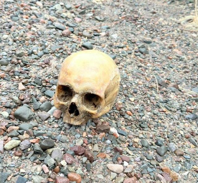 La Justicia analiza el origen de un cráneo humano encontrado en Punta Negra