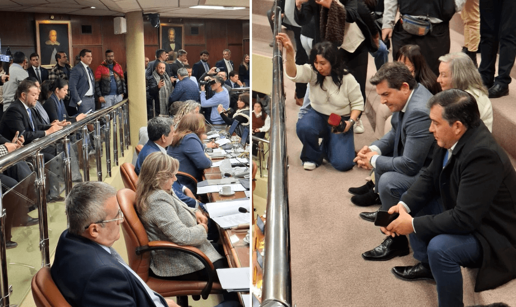 Con Orrego mirando desde las gradas, Diputados dio luz verde al financiamiento provincial
