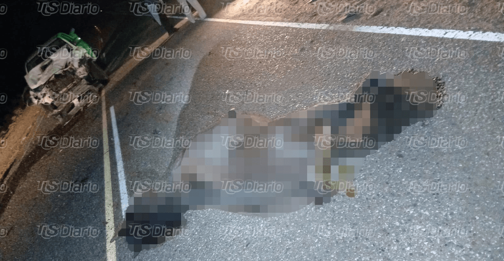 Una familia de Valle Fértil se salvó de milagro tras chocar con tres caballos sueltos