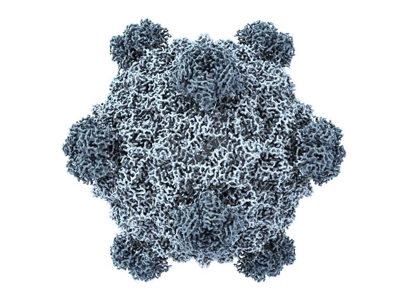 Una IA armó 16 virus nuevos y reavivó el miedo a los riesgos de la biología digital