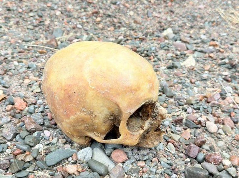 El cráneo encontrado en Punta Negra sería de una mujer y tendría una data de muerte reciente