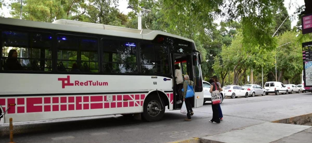 Una menor convulsionó a bordo de un colectivo de la Red Tulum