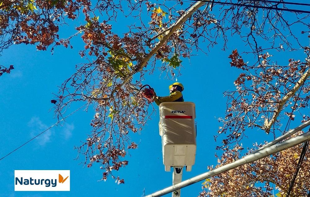Naturgy arrancó con la poda y se vienen interrupciones de luz en San Juan