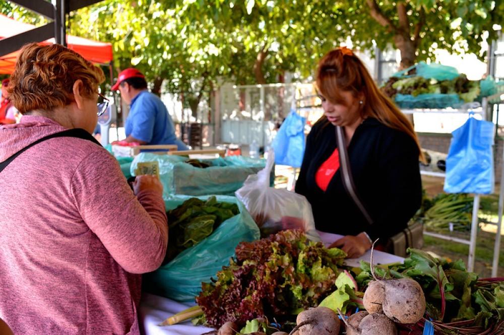 La feria vuelve al Centro Cívico con sabores y precios de acá