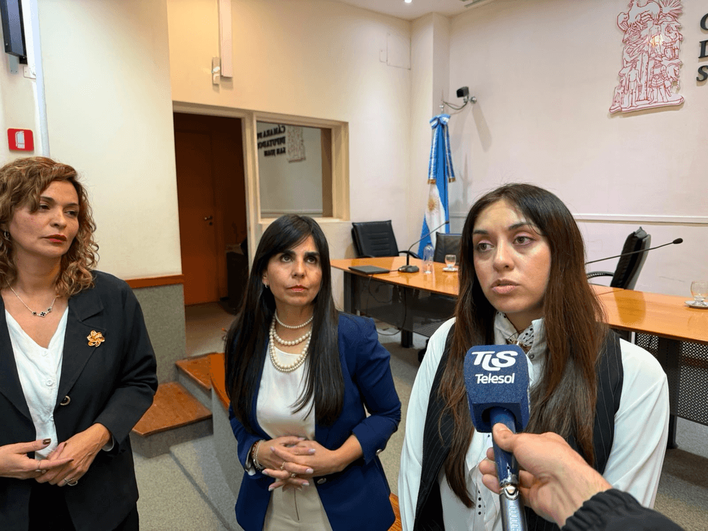 En la Legislatura pusieron bajo la lupa la cuota alimentaria y los deberes de cuidado