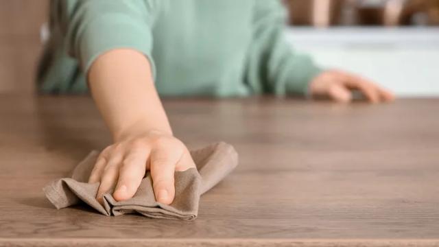 Cuánto cobrará una empleada doméstica por una jornada de cuatro horas en agosto de 2026