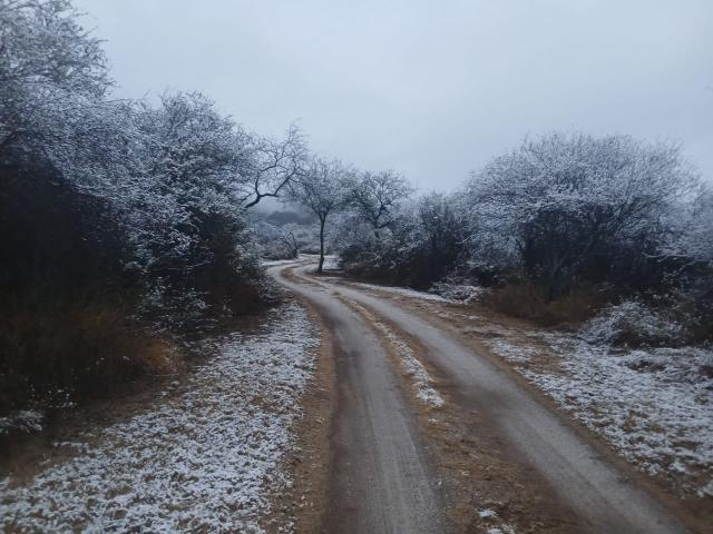 La nieve cubrió Valle Fértil y dejó imágenes inusuales en pleno julio