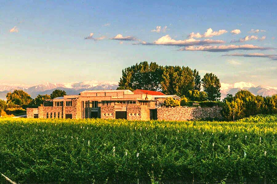 Bodega histórica de Mendoza echó a 17 empleados y arrastra más de $1.600 millones en cheques rebotados