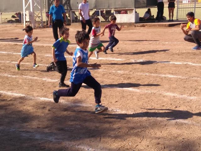 Las escuelitas deportivas ya alcanzan a toda la provincia y sostienen alta demanda