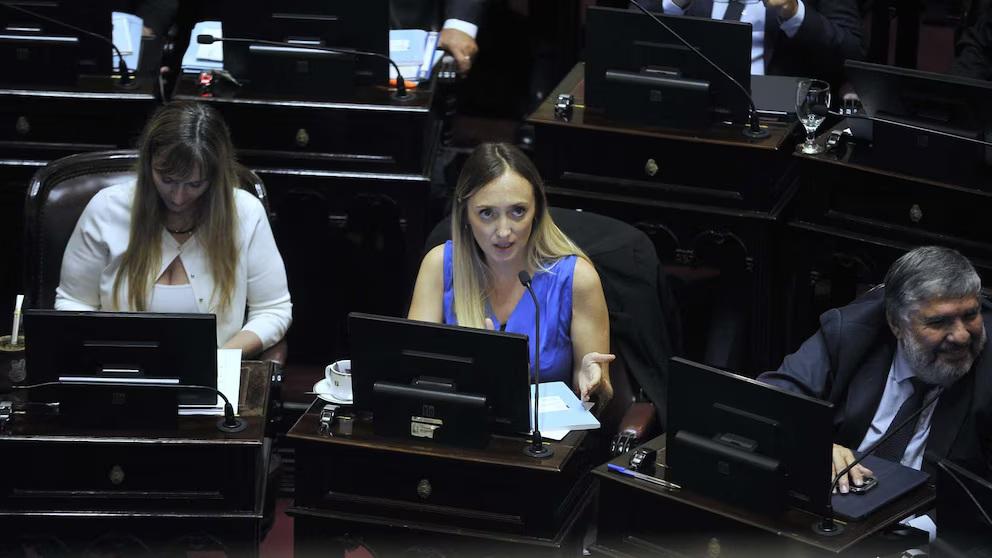 Villarruel autorizó a Fernández Sagasti a votar de manera virtual en la sesión por tierras a extranjeros