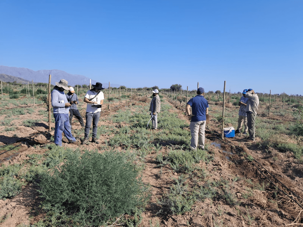 Hallaron 40 trabajadores rurales sin registrar en una finca pistachera de San Juan