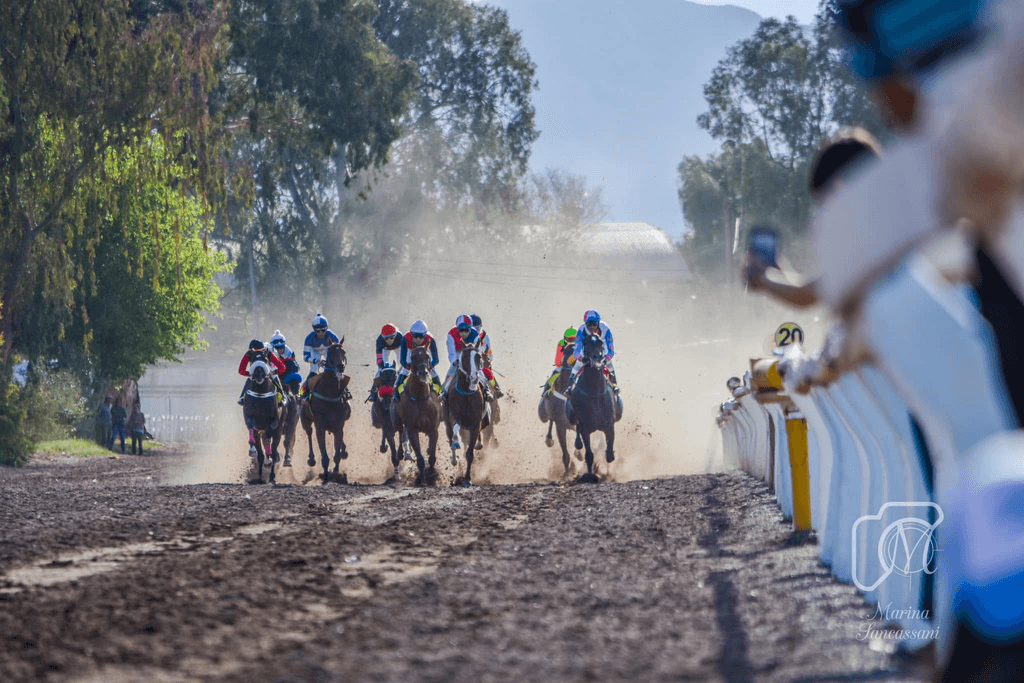 En Jáchal se cruzaron por una carrera de caballos y por quién manda sobre las apuestas