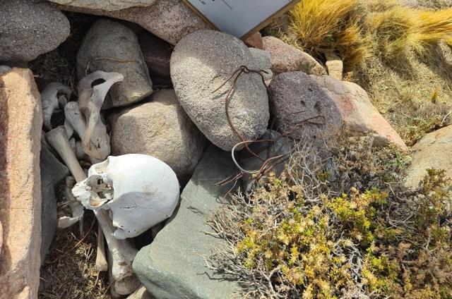 Detectan restos humanos y vainas servidas durante un patrullaje en Iglesia