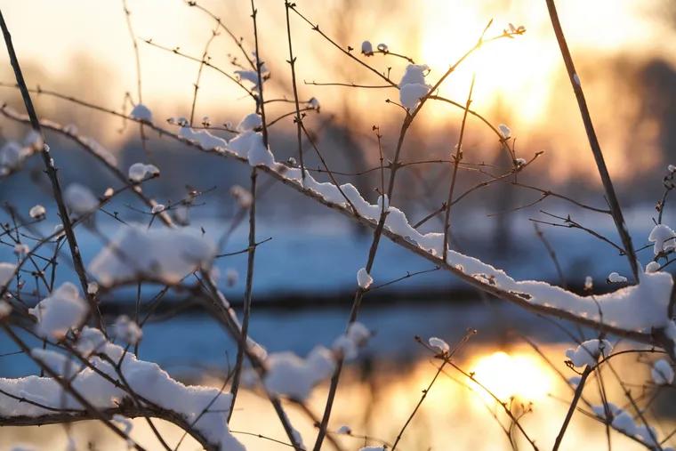 El invierno ya se hace sentir: cuándo ocurre el solsticio en Argentina
