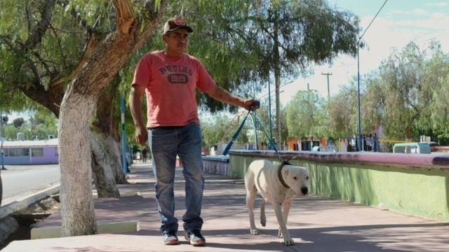 Ambiente llevará operativos gratuitos para mascotas a Chimbas y Pocito