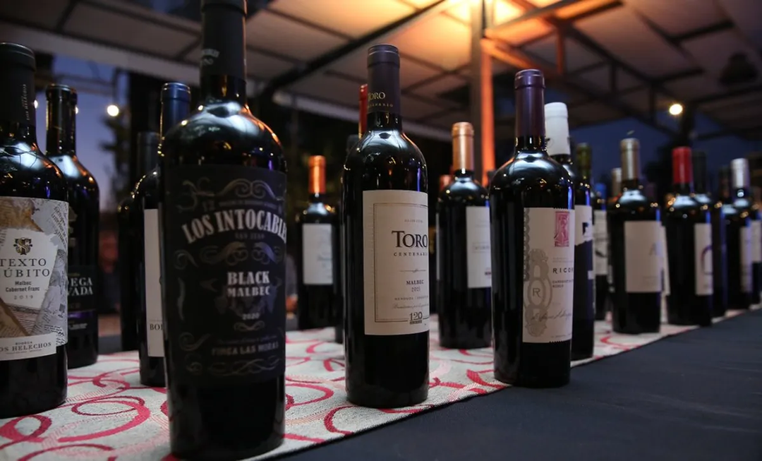 San Juan presentará en Palermo la nueva edición de la Cata de Vinos