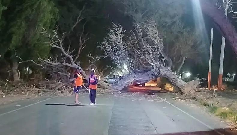 San Juan sufrió más de 50 salidas de Bomberos por el Zonda y el viento Sur