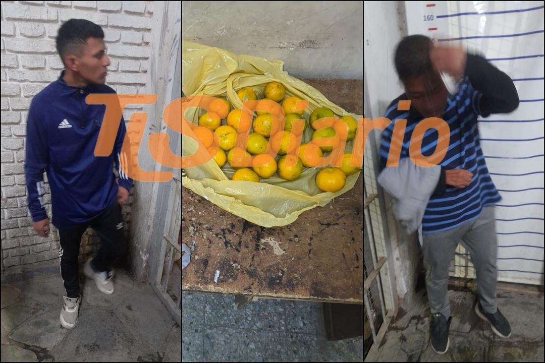 Dos hombres fueron detenidos tras ingresar dos veces a robar mandarinas en la casa de una jubilada