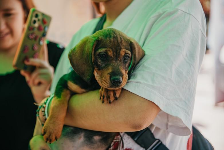 Rivadavia tendrá una jornada gratuita de salud animal y educación ambiental