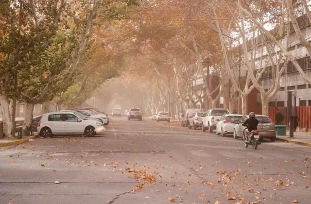 La Ciudad de San Juan reforzó los canales de atención ante la alerta por viento Zonda