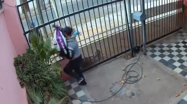 Saltaron una reja y se llevaron alimento destinado a perros rescatados